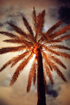 Palma de Mallorca, Spanien